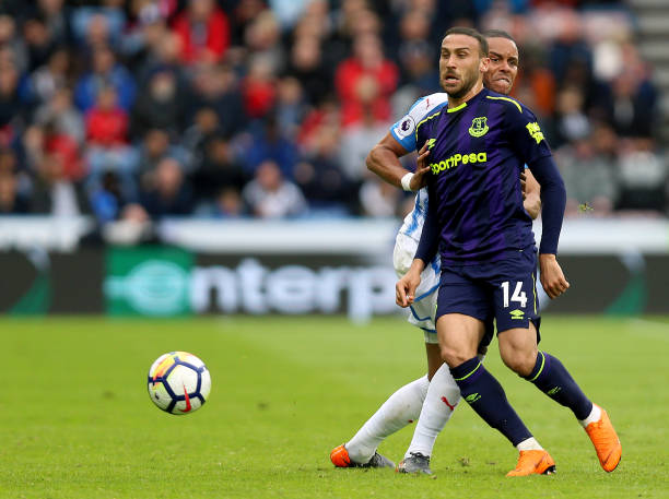 不仅是一种 不仅是一种