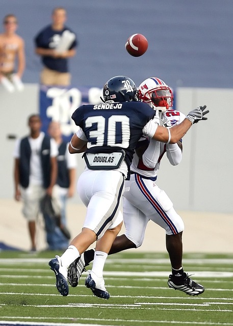 亲爱的奖杯 亲爱的奖杯